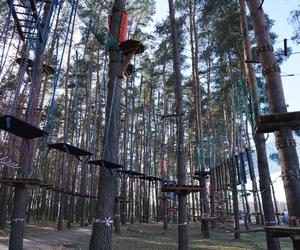 Powstaje park linowy w Białymstoku! To nowa inwestycja na plaży Dojlidy