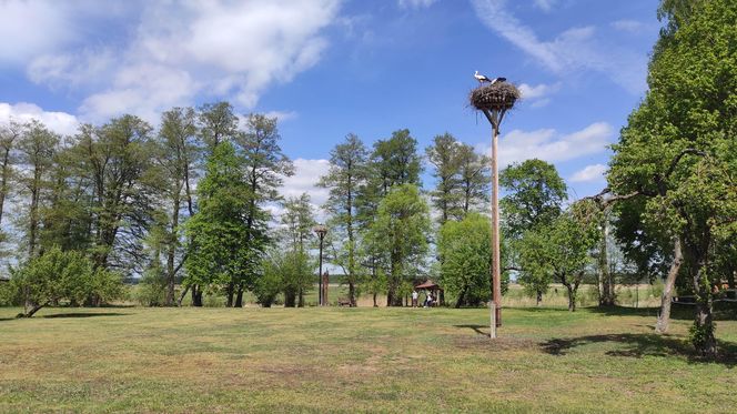 Europejska Wieś Bociania w Pentowie. Unikalne miejsce na Podlasiu