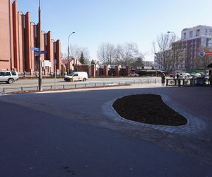 Potworki ursynowskie robią furorę w sieci. Mieszkańcy dzielnicy podzieleni. „Kto na to pozwalał”
