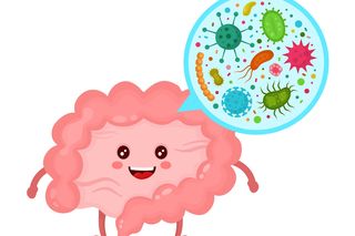 Psychobiotyki - bakterie, które wpływają na zdrowie psychiczne