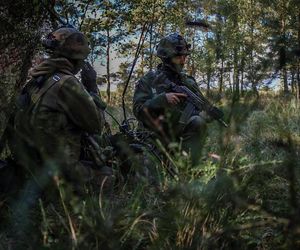 Powszechna Służba Państwowa. Nowa wizja budowania rezerw na rzecz bezpieczeństwa Polski