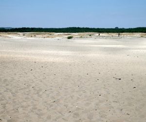 Polska Sahara zaskakuje turystów