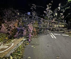 Totalna katastrofa pogodowa. W Tatrach wieje huraganowy wiatr. Urywa głowę!