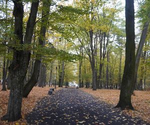 Park Lubomirskich w Białymstoku jesienią 