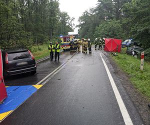 Śmiertelny wypadek na DK 69 pod Kępnem. Nie żyje dwóch kierowców 