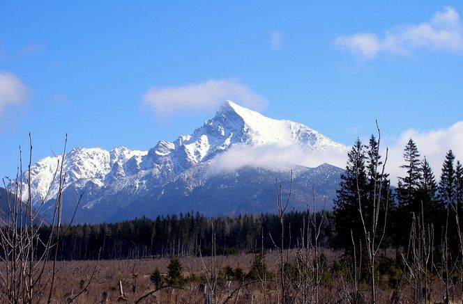 Krywań, Tatry