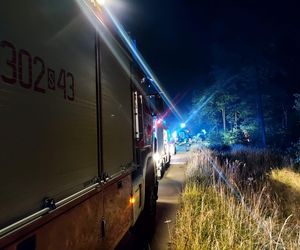 Wypadek na S1 w Katowicach. Samochód wypadł z drogi i stanął w płomieniach!
