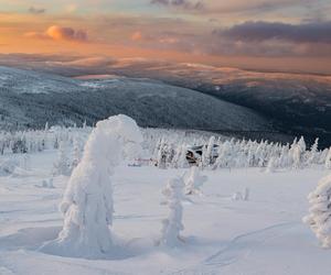 Dziwne stwory w górach. Śnieżne duchy i potwory straszą turystów