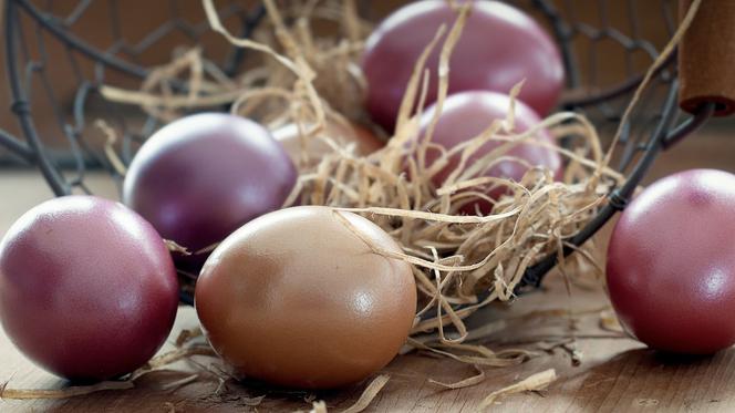 Wielkanoc 2023. Ceny jajek biją rekordy. Gdzie kupić najtańsze jajka?