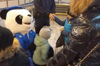 Mecz Słodkich Serc w Lublinie. Lubelscy sportowcy zagrali dla potrzebujących dzieci