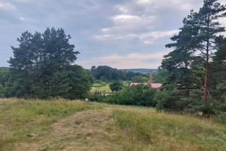 Akcja na polu, gdzie znaleziono Wampirkę z Pnia. Młodzi chodzili z detektorami, niedługo wracają tam archeolodzy