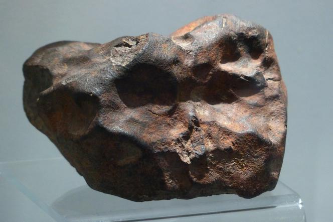 Od marca meteoryt będzie dostępny w Muzeum Ziemi Uniwersytetu im. Adama Mickiewicza na Morasku.