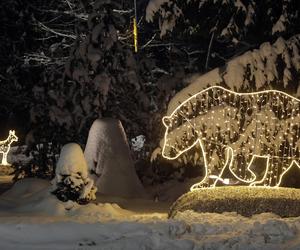 Świąteczne iluminacje w Zakopanem