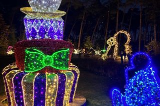 Otwarcie Lumina Parku w Poznaniu. Tegoroczne świecące miasteczko robi fenomenalne wrażenie!