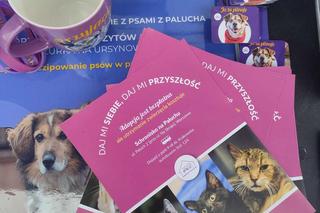 Adoptuj warszawiaka 17.03