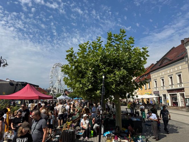 Targ staroci w Pszczynie (10.08)