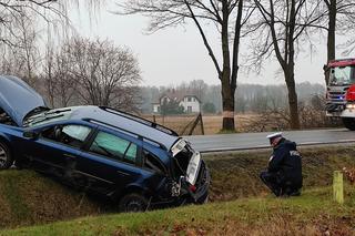 Dramatyczny wypadek pod Warszawą. Auto nagle wpadło do rowu. Akcja ratunkowa [ZDJĘCIA]