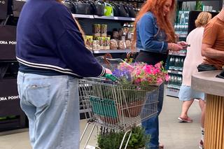 Grycanki powracają! Tak teraz wyglądają