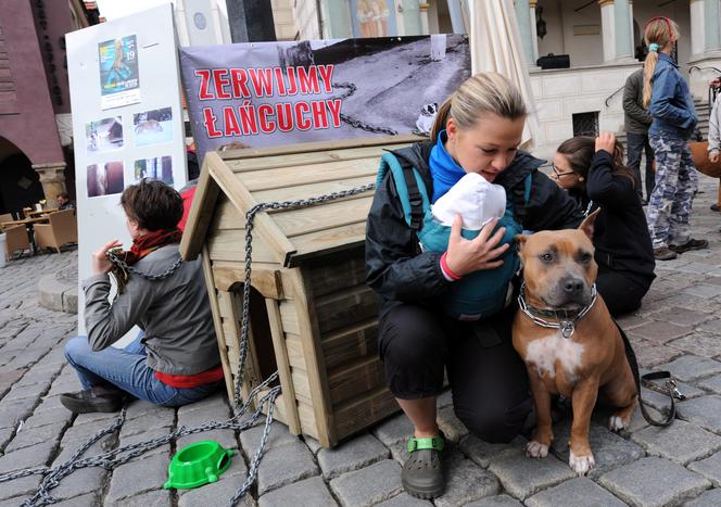 Katarzyna Bujakiewicz przykuła dziecko do budy