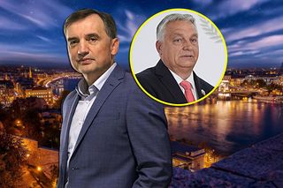 Ziobro ucieknie na Węgry? Żurek jasno: „Nie mam do niego zaufania”