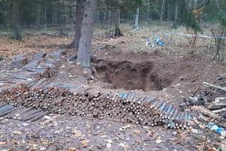 Las niczym magazyn broni! Ponad 2 tysiące pocisków na Mazurach