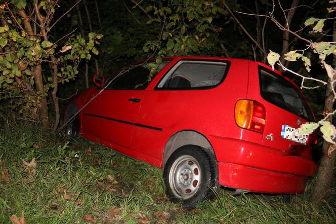 Pijany wjechał do rowu i… poszedł do domu się wyspać