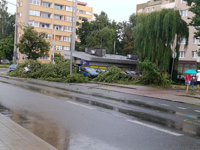 Nawałnice przeszły nad Polską. Oto szkody