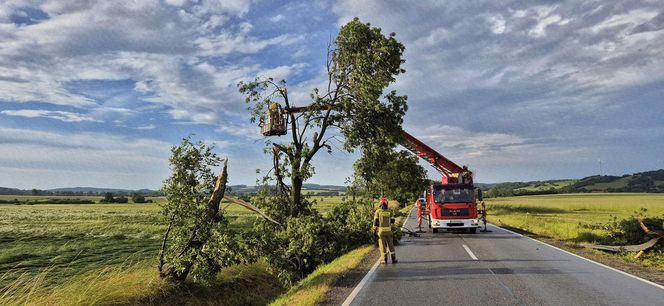 Dolnośląskie. Burze wyrządziły wiele szkód w regionie. Tak wyglądają okolice Jawora [ZDJĘCIA].