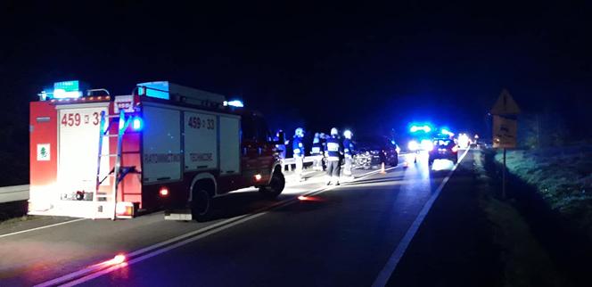 Gruszowiec. PIĘKNY jeleń potrącony przez samochód. Zwierzę nie przeżyło
