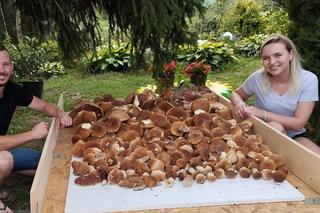 Grzyby znów w lasach w woj. lubelskim. Mamy zdjęcia