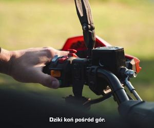 Roberto Soldić pokazał swojego potwora