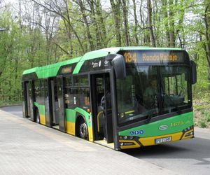 Boże Ciało 2025. Jakie zmiany czekają nas w komunikacji miejskiej w Poznaniu?  