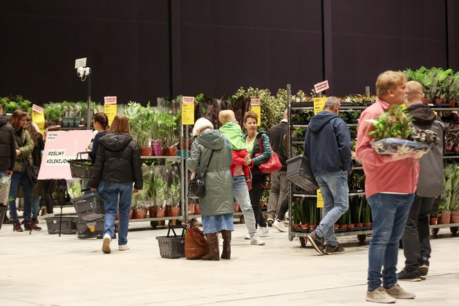 Festiwal roślin odbywa się w Katowicach