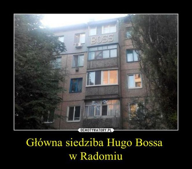 MEMY o Radomiu
