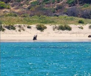 Dramat uczestnika Ślubu od pierwszego wejrzenia! On chce rozwodu, ale… żona i produkcja milczą