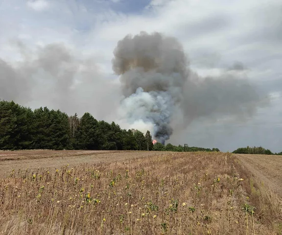 Ogromny pożar lasów pod Lubartowem! Płonie 15 hektarów