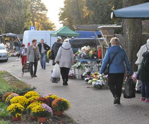 Przygotowania do Wszystkich Świętych 2023 w Kielcach