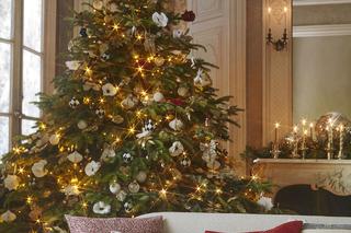 Jaki kolor choinki 2023? 