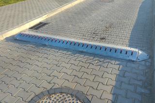 Kolczatka przy Burger Kingu