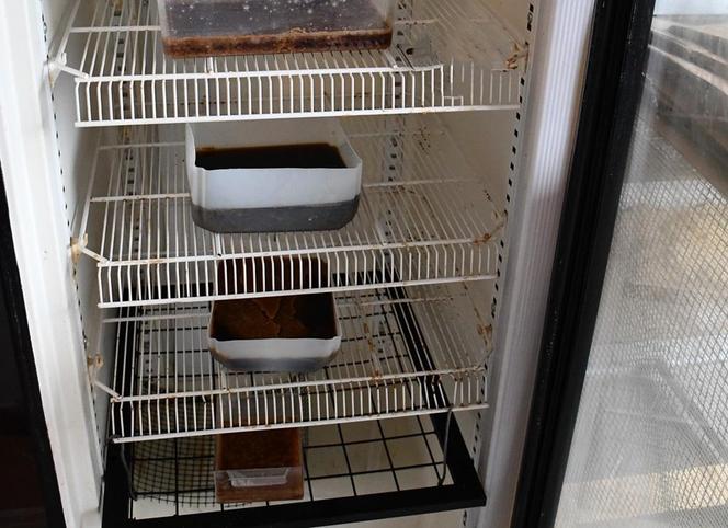 Policjanci rozbili nielegalną fabrykę mefedronu. Było tam 12 kg narkotyków 