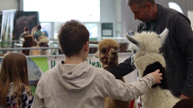 Tak wyglądał Zoopark 2024 w Lublinie! Zobacz zdjęcia