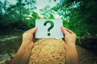 QUIZ o ekologii. Niektóre pytania mogą cię zaskoczyć!