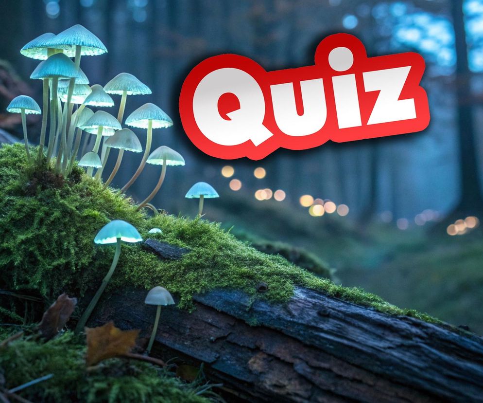 Quiz grzyby