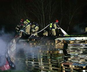 Rezerwat Dzikich Dzieci pożar