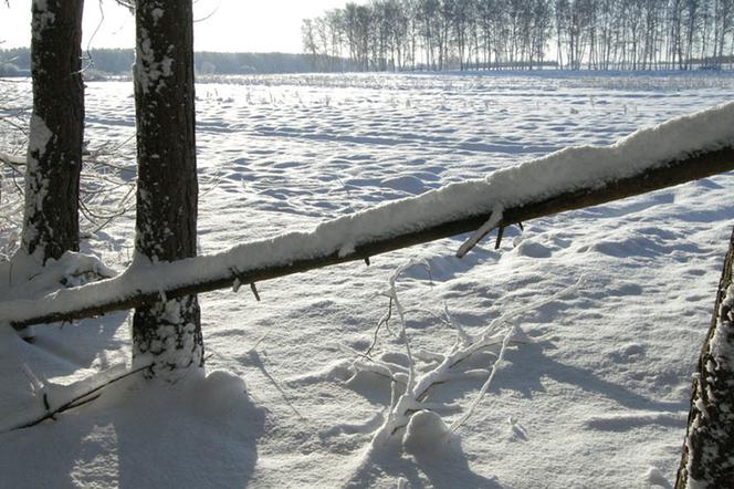 Pogoda zimą