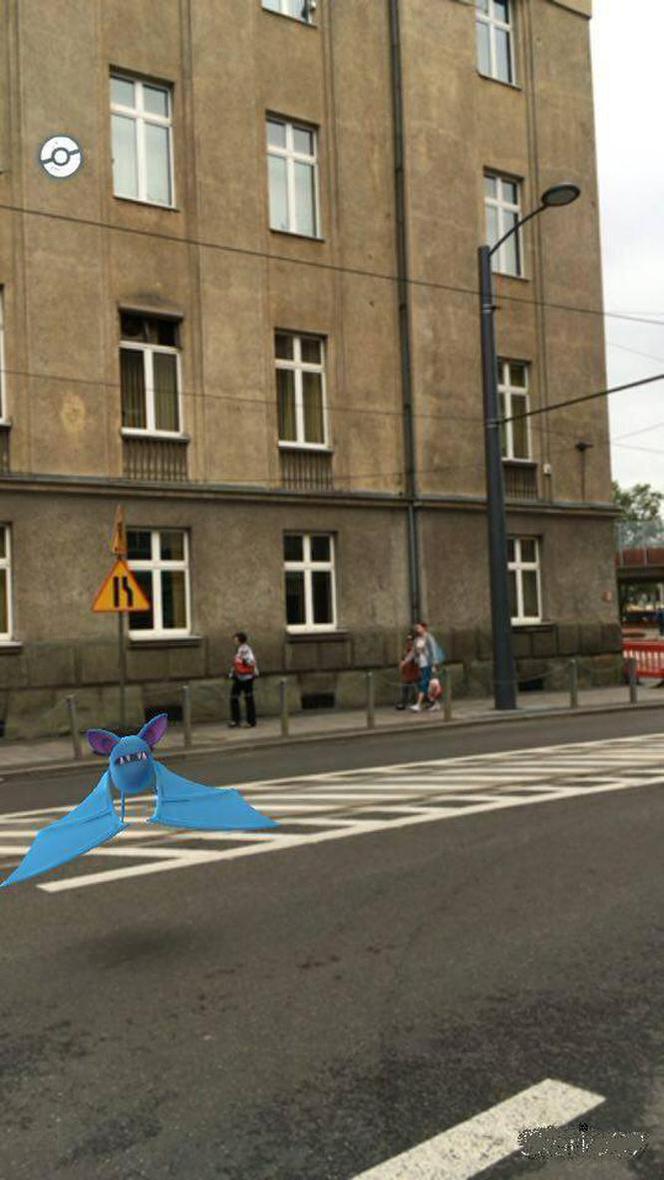 Pokemony w Chorzowie
