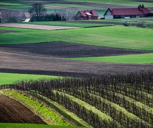 Ponidzie w obiektywie. Zobacz piękne fotografie!