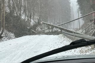 Atak zimy na Dolnym Śląsku. Zablokowane drogi, połamane i powalone drzewa 