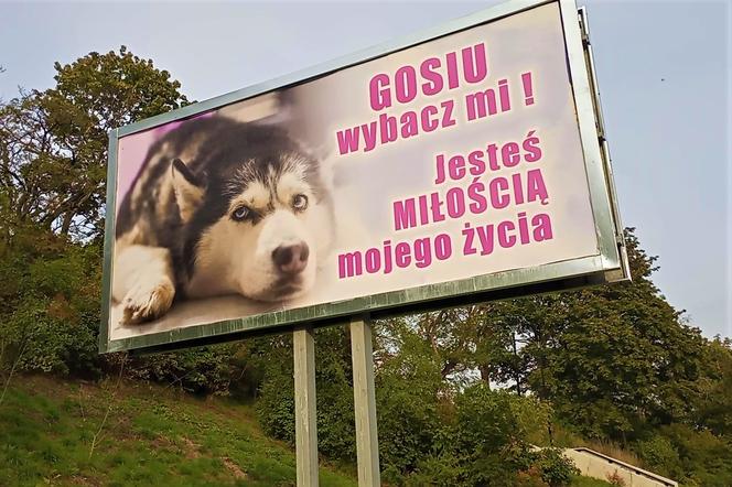 Nietypowe billboardy w Szczecinie