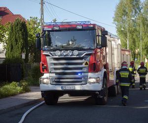 Lubelscy strażacy interweniowali w sprawie trutki na szczury. Tym razem nikt nie ucierpiał